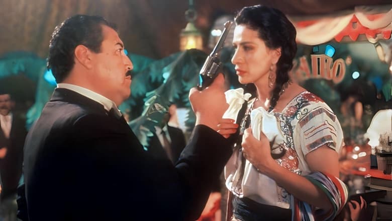 кадр из фильма La reina de la noche