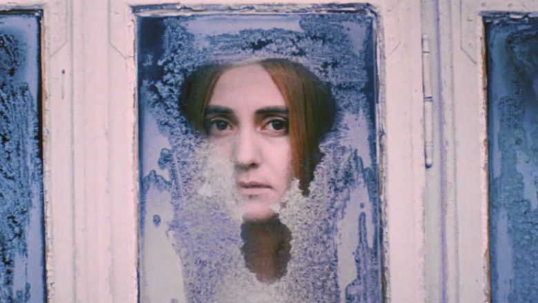 Белая птица с чёрной отметиной