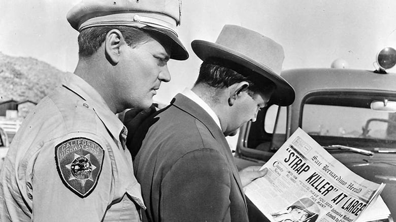 кадр из фильма Розыск на шоссе