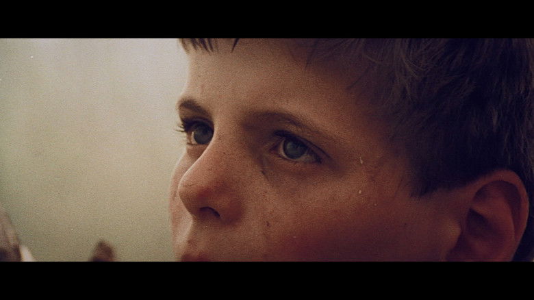 кадр из фильма Рыжая фея