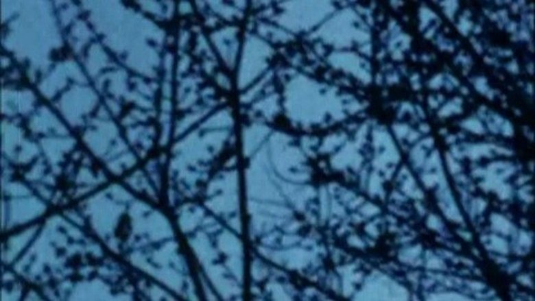 кадр из фильма Burning