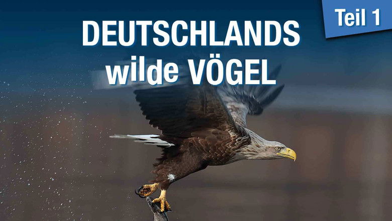 кадр из фильма Deutschlands wilde Vögel