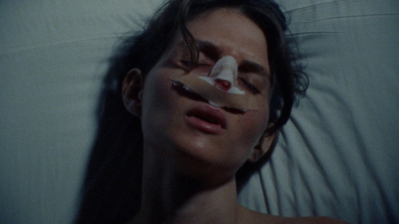 кадр из фильма pigeonhole