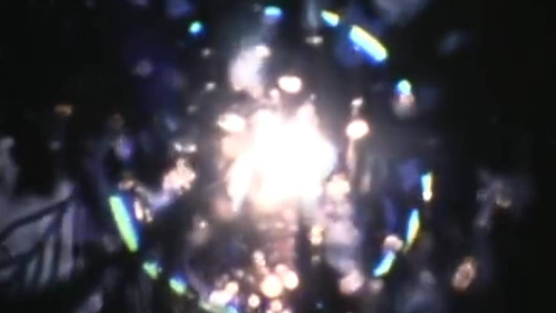 кадр из фильма Ruminant