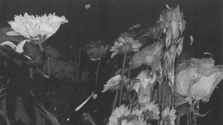 кадр из фильма bouquet