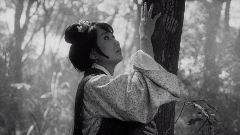 кадр из фильма 董夫人