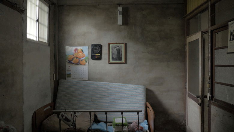 кадр из фильма 屋舍上的葉仔花