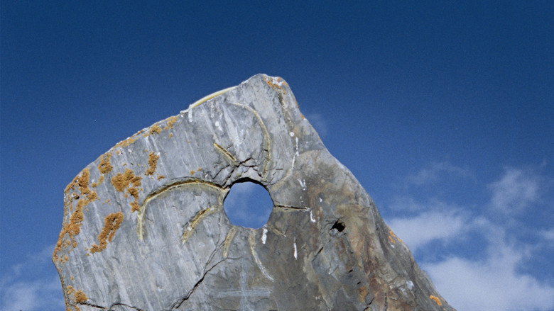 кадр из фильма The Wind Blows Wherever It Wants