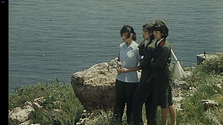 кадр из фильма 小岛