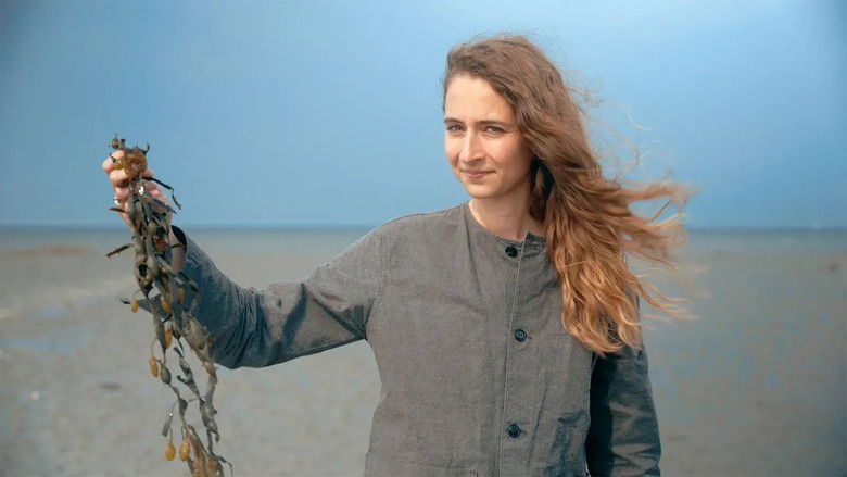 кадр из фильма A World to Shape