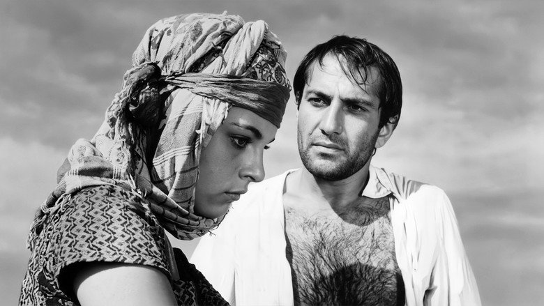 кадр из фильма Засушливое лето