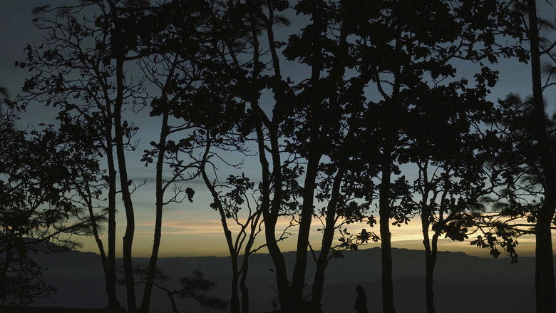 кадр из фильма Tía Lucía