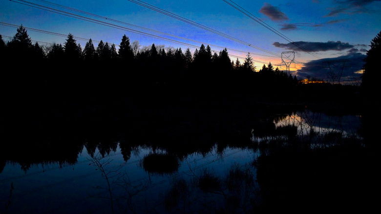 кадр из фильма What's For Dinner?