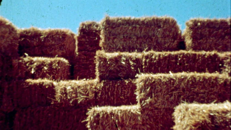 кадр из фильма Hey!