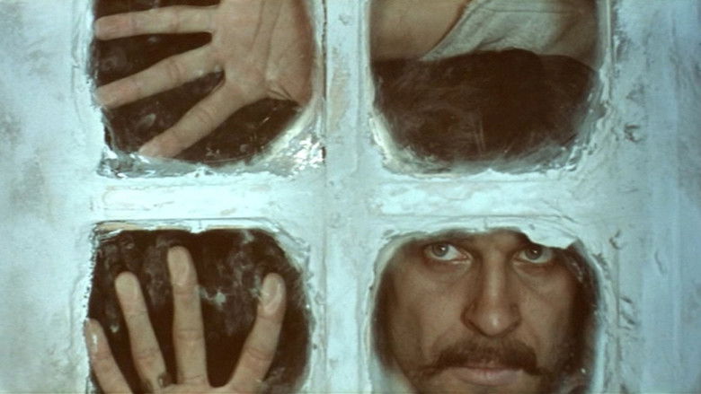 кадр из фильма Вечер накануне Ивана Купала