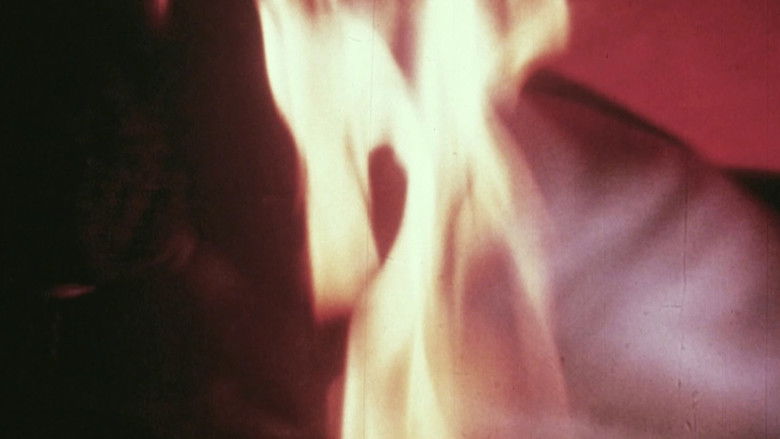 кадр из фильма The Illiac Passion