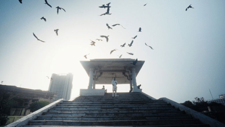 кадр из фильма All That Breathes