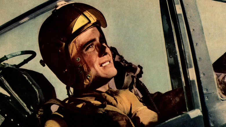 кадр из фильма High Flight