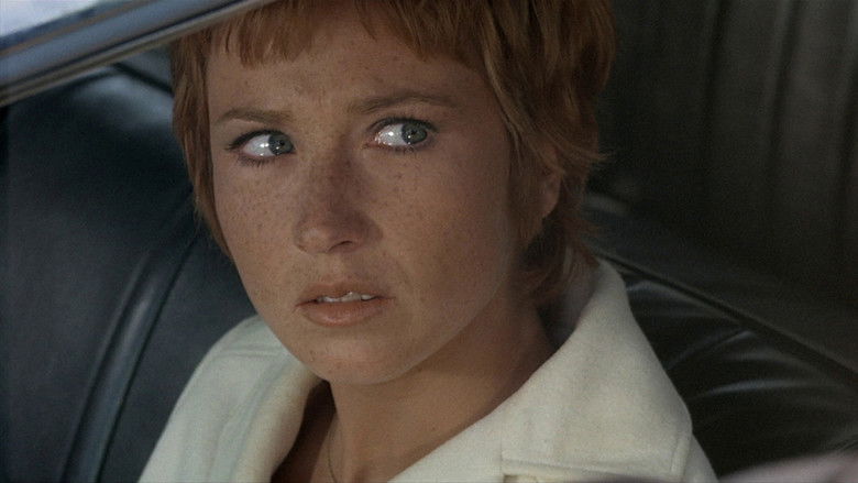 кадр из фильма Пассажир дождя