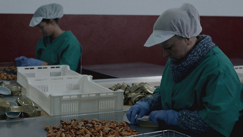 кадр из фильма Матриа