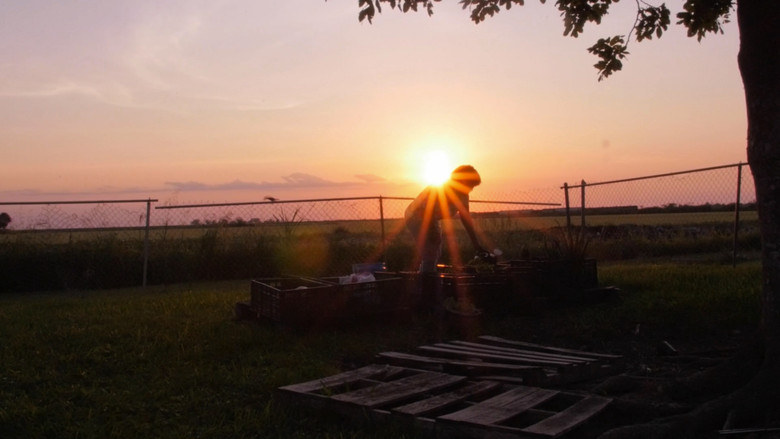 кадр из фильма Where There’s Smoke