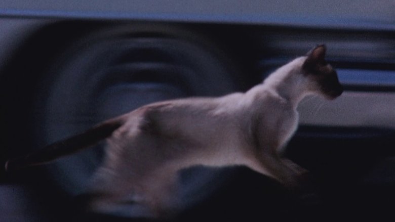 кадр из фильма The Perils of Priscilla