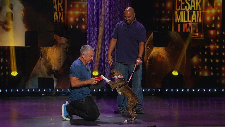 кадр из фильма Cesar Millan: Viva Las Vegas!