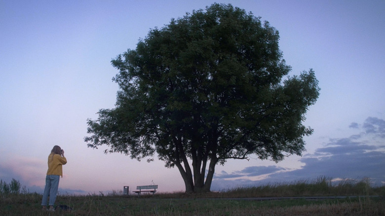 кадр из фильма 20 Meter Wäscheleine