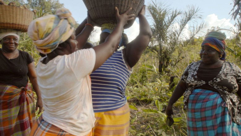 кадр из фильма Monikondee