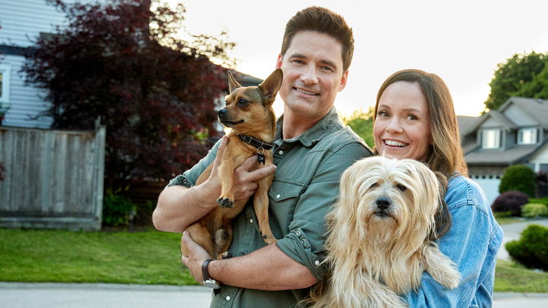 кадр из фильма The More Love Grows