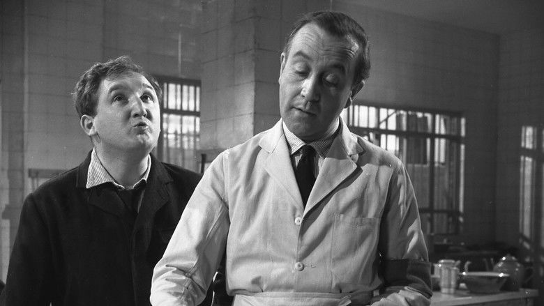 кадр из фильма The Pot Carriers