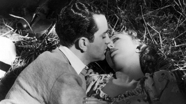 кадр из фильма O Violino de João