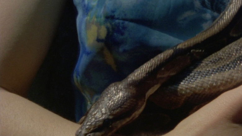 кадр из фильма Faux fuyants