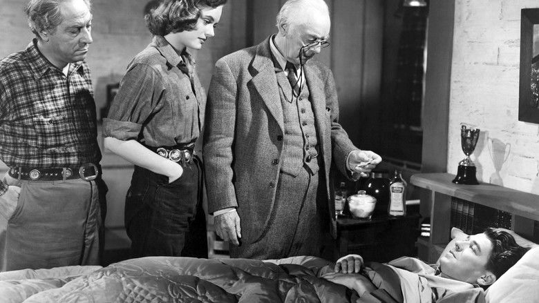 кадр из фильма Stallion Road