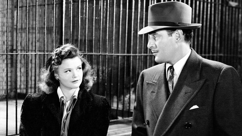 кадр из фильма Люди-кошки