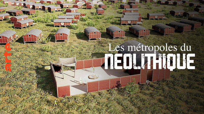 кадр из фильма Das Rätsel einer verlorenen Zivilisation - Die verschwundene Metropole