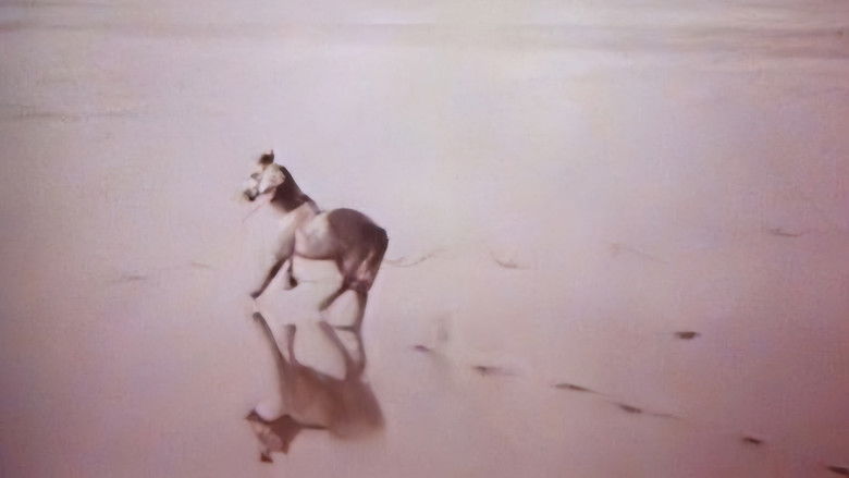 кадр из фильма Медея