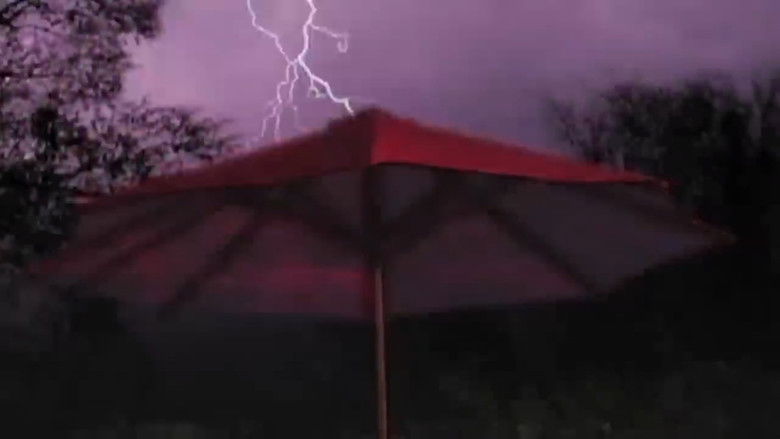 кадр из фильма Almost Invisible