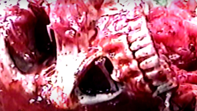 кадр из фильма Ataraxia