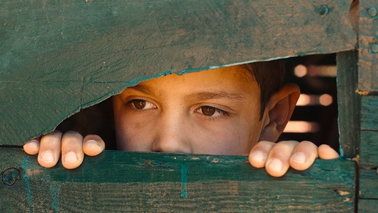 кадр из фильма ميكا