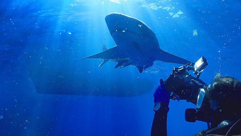 кадр из фильма Челюсти за бортом