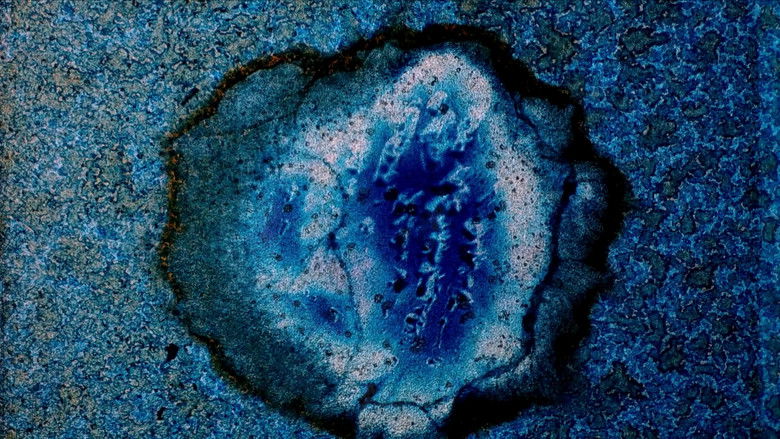 кадр из фильма Tabula Smaragdina