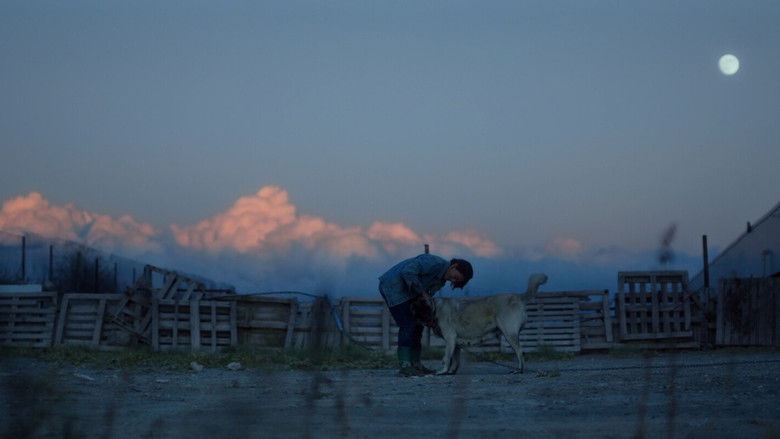 кадр из фильма Günaydın Anne