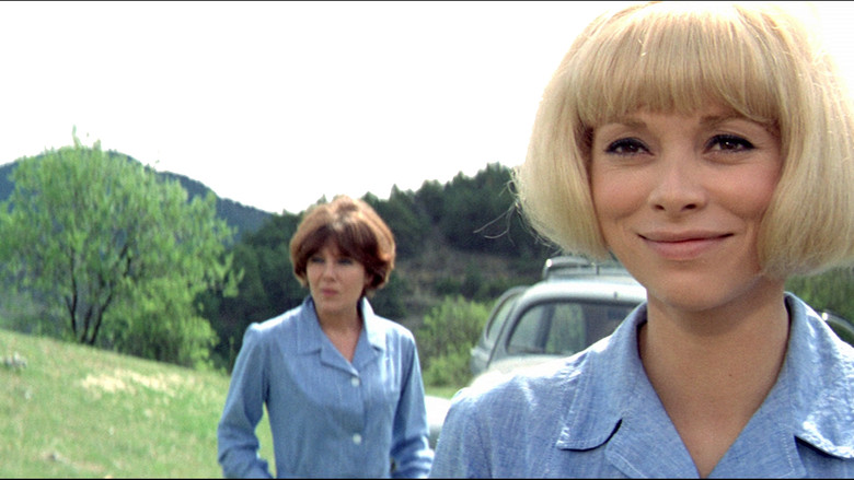 Дом с деньгами