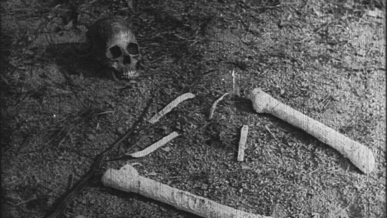 кадр из фильма 空谷猿声