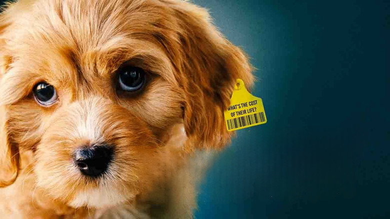 кадр из фильма Dogspiracy