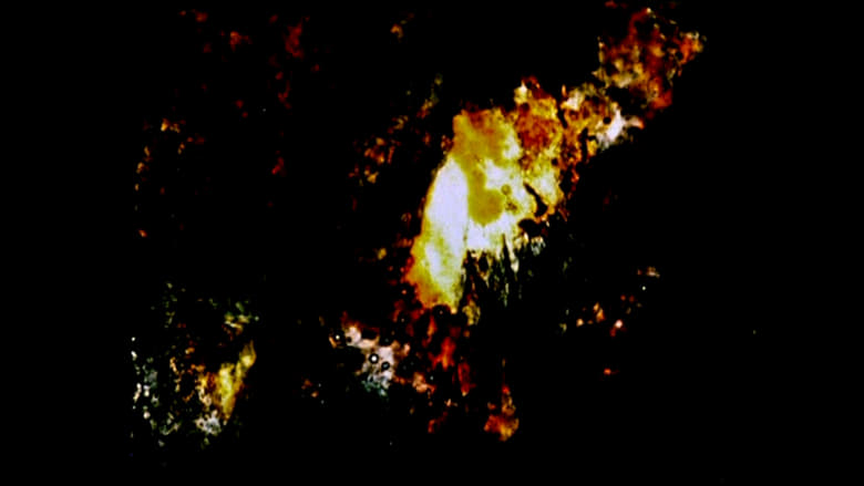 кадр из фильма Study in Color and Black and White