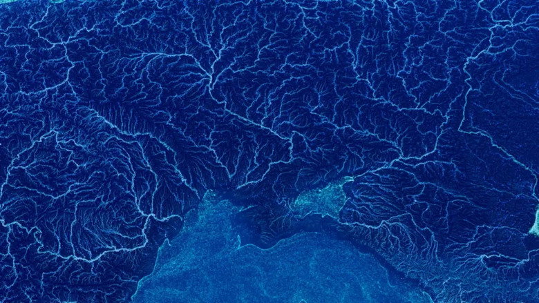 кадр из фильма Water Body
