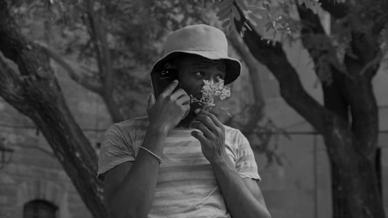 кадр из фильма Kambá!