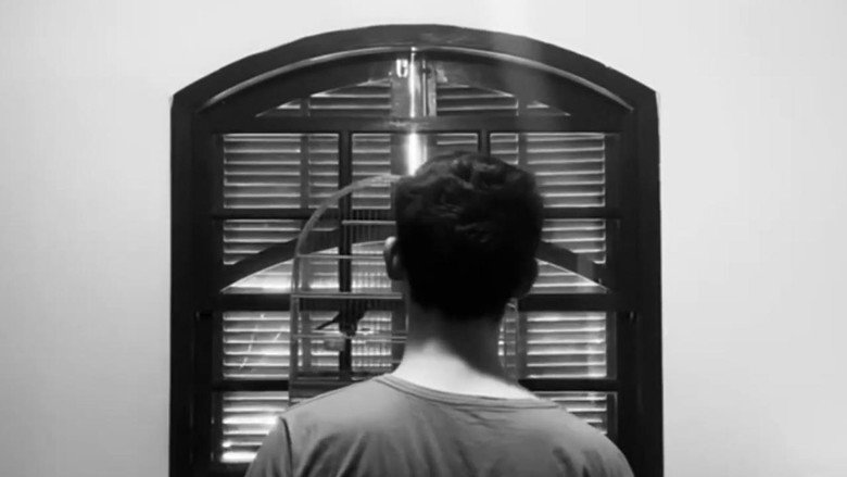 кадр из фильма Nunca Mais